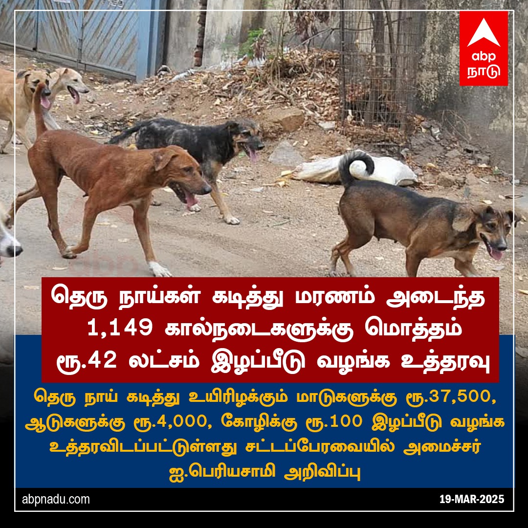 abpnadu's tweet image. தெரு நாய்கள் கடித்து மரணம் அடைந்த 1,149 கால்நடைகளுக்கு மொத்தம் ரூ.42 லட்சம் இழப்பீடு வழங்க உத்தரவு

#dogbiteprevention #IPeriyasamy #ABPNews #ABPNadu