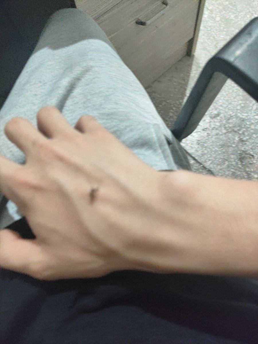 Fibonacciii_He's tweet photo. 有蚊子了🥲 https://t.co/mXOB0Ans2D