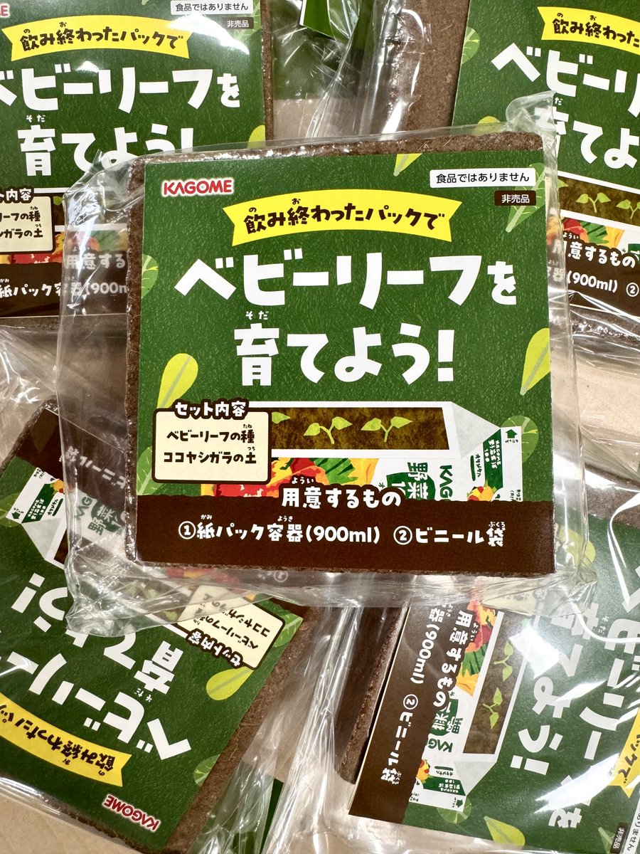 KAGOME_JP's tweet photo. 人人人人人人人人人人人人人
どなたかもらってください！
Y^Y^Y^Y^Y^Y^Y^Y^Y^Y

ベビーリーフを一緒に育ててくれる方を探しています🥺野菜を育てる楽しさを沢山の方に知って��ただきたい…！

フォロワーさん・企業アカウントのみなさん、我こそは！という方はコメントお待ちしております！！ https://t.co/UKJ1qHhPZi