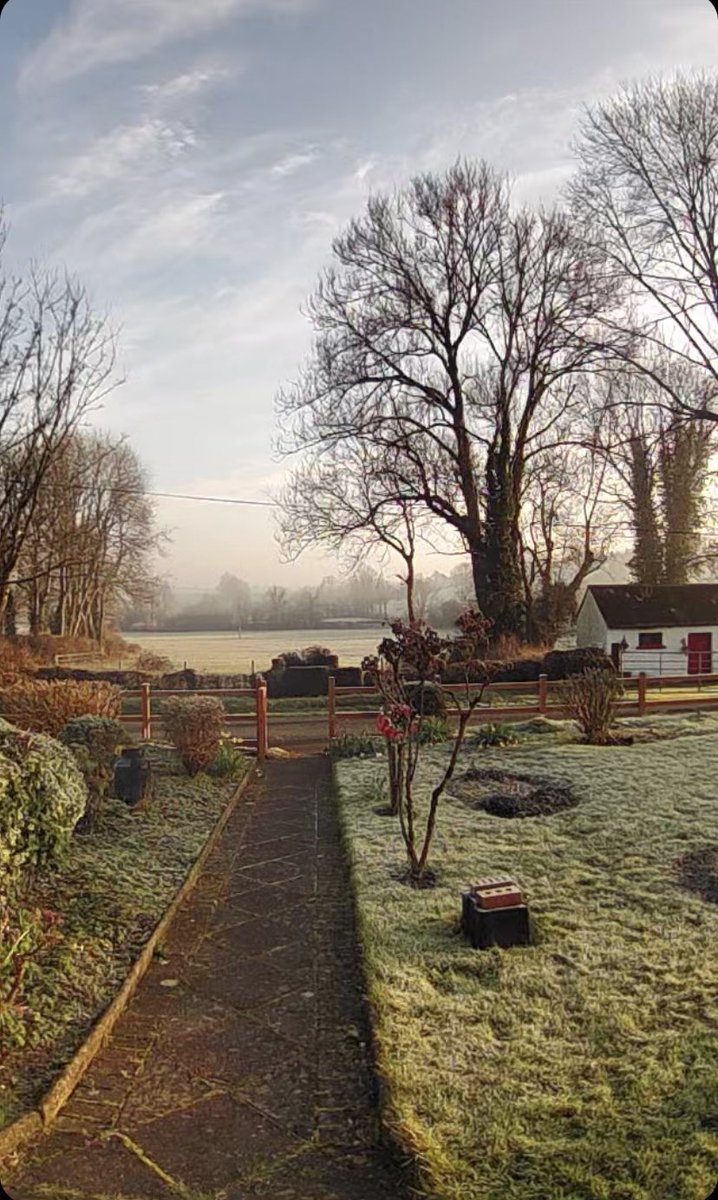 mtully21's tweet photo. #DoorbellView Misty fog is lifting and frost slowly clearing….I think it will be a beautiful day.
#ThisIsCavan
And it’s Good. https://t.co/KqTkRFOAAM