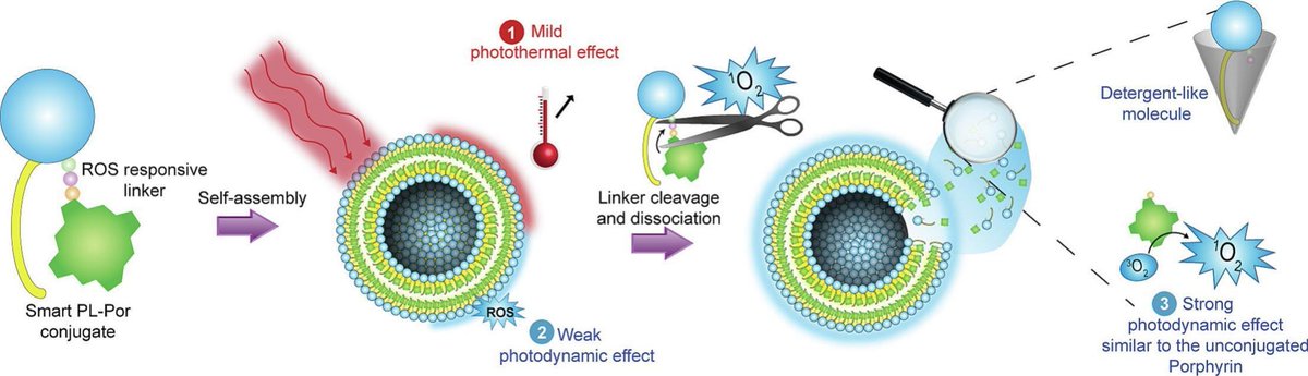 J Controlled Release (@jcrneditors) on Twitter photo Next generation of porphysomes for improved photodynamic therapy applications.
| Ali Makky <a href="/UnivParisSaclay/">Université Paris-Saclay</a> | <a href="/CRSBeNeLuxFr/">CRS BeNeLux & France Local Chapter</a>
#porphysome #photodynamic
kwnsfk27.r.eu-west-1.awstrack.me/L0/https:%2F%2… Next generation of porphysomes for improved photodynamic therapy applications.
| Ali Makky <a href="/UnivParisSaclay/">Université Paris-Saclay</a> | <a href="/CRSBeNeLuxFr/">CRS BeNeLux & France Local Chapter</a>
#porphysome #photodynamic
kwnsfk27.r.eu-west-1.awstrack.me/L0/https:%2F%2…