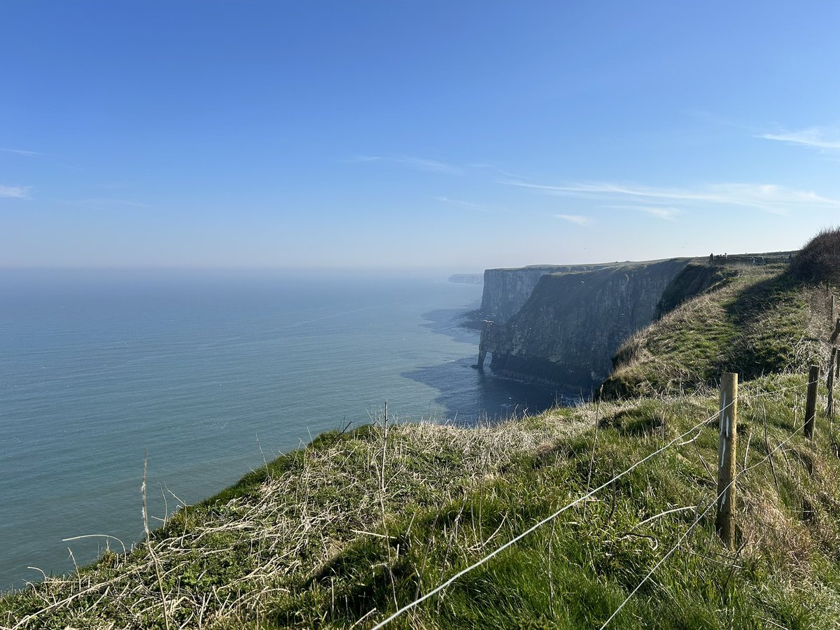 AgzPNE's tweet photo. @Bempton_Cliffs #BemptonPuffin https://t.co/x6Ej8QLoPE