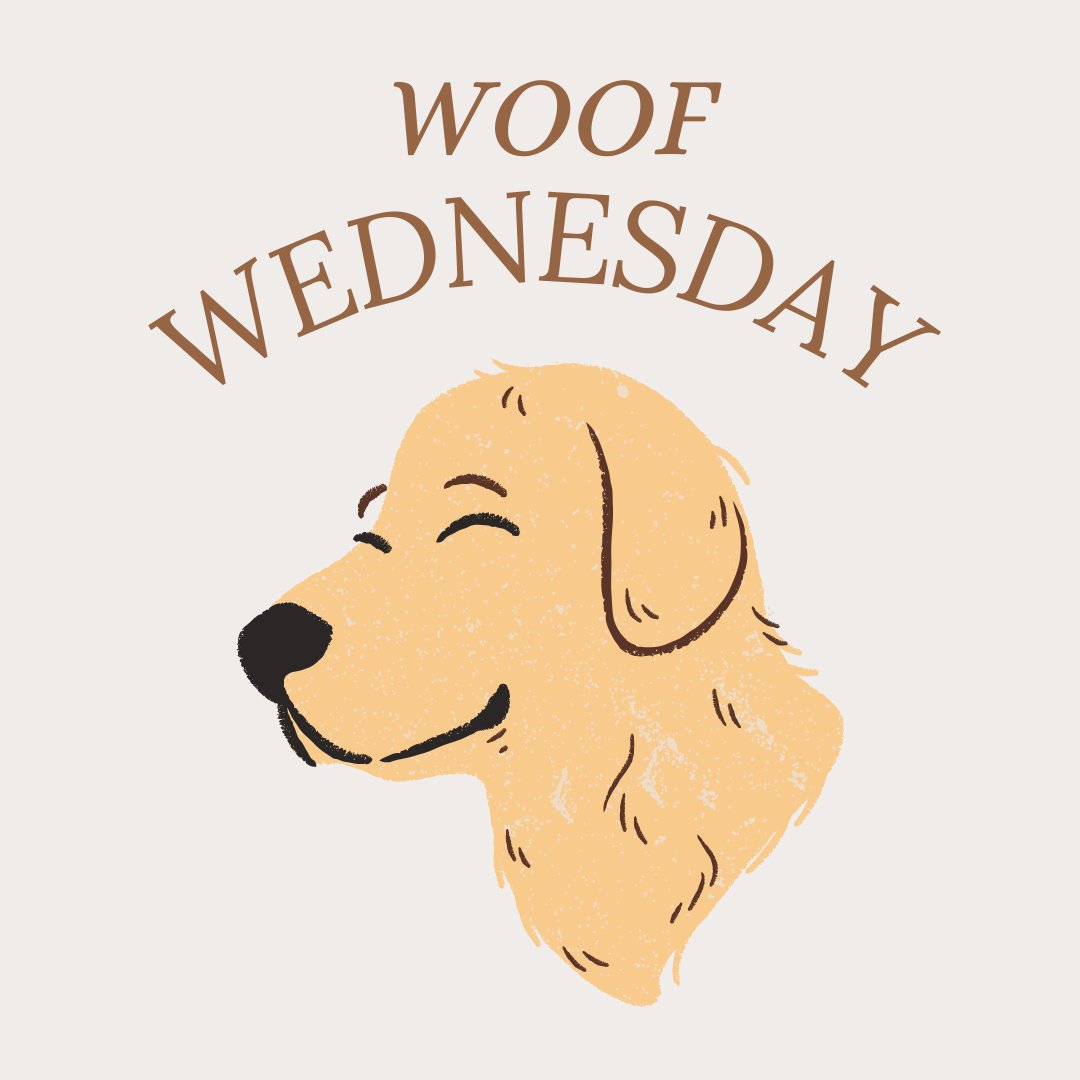 Bring your furry friends along! 🐾 We’re proud to be a pet-inclusive space, welcoming all standard pets. Your pets are family, and they’re always welcome here! 🐶🐱💖 #PetFriendly #FurryFamily #PetsWelcome #ChapelHill #UNC #SouthernVillage #ChapelThrill #RDU #SouthernVillageApts