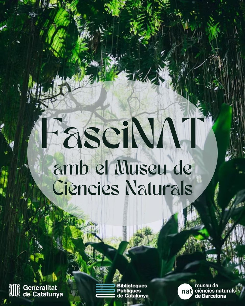 Biblioteques tweet media