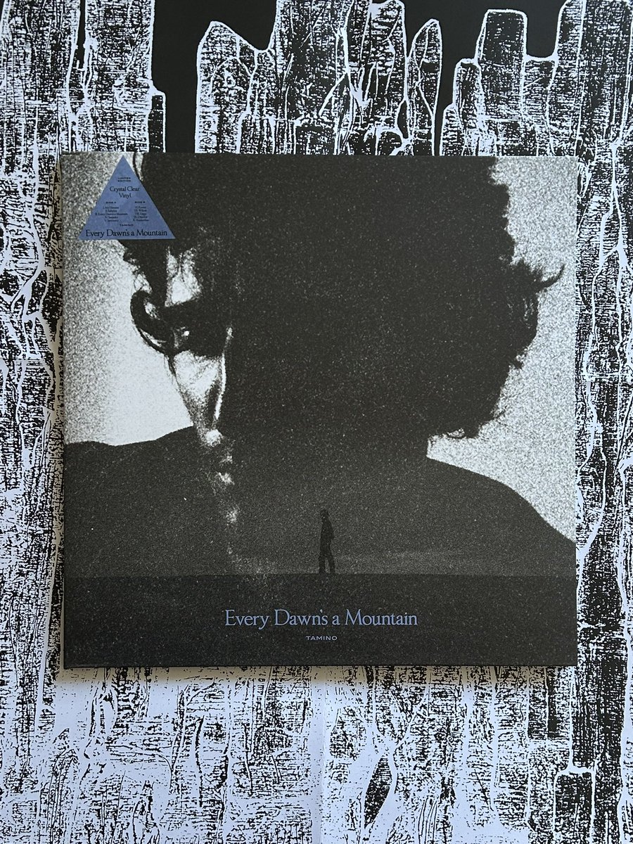 tamino is in my house rn 🥹