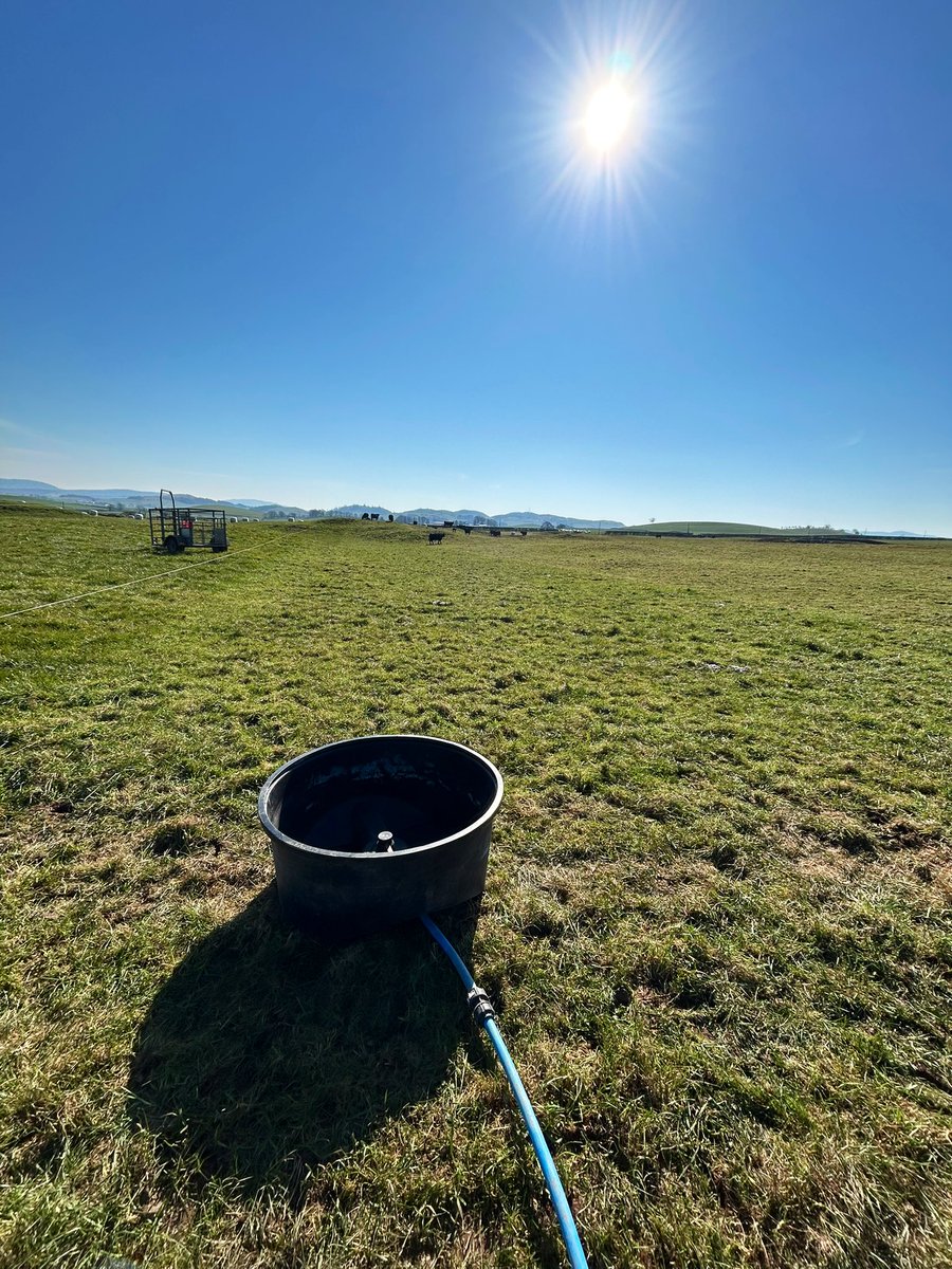 Unbelievable scenes! 🤩 
<a href="/PrecisionGraze/">Precision Grazing Ltd</a>