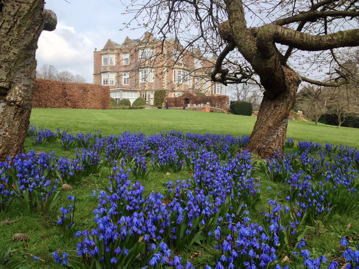 Goldsborough Hall (@goldsborohall) on Twitter photo Goldsborough Hall's spring open gardens this Sunday 11-4pm for the NGS charities. Highlights incl woodland walk, Lime Tree Walk, daffs, hellebores and scillas. Drinks, sandwiches, scones. FREE garden talks and plant stall. £7.50 per adult, kids free. Dogs welcome
<a href="/NGSOpenGardens/">National Garden Scheme</a> Goldsborough Hall's spring open gardens this Sunday 11-4pm for the NGS charities. Highlights incl woodland walk, Lime Tree Walk, daffs, hellebores and scillas. Drinks, sandwiches, scones. FREE garden talks and plant stall. £7.50 per adult, kids free. Dogs welcome
<a href="/NGSOpenGardens/">National Garden Scheme</a>