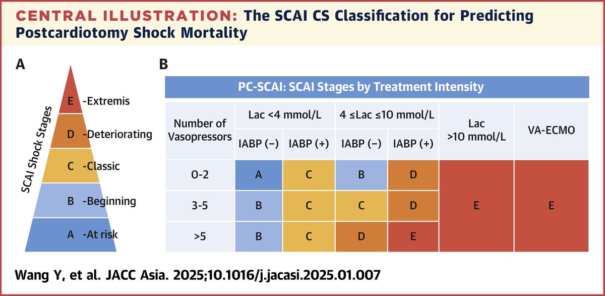 ACCinTouch's tweet photo. A simplified risk stratification model based on the cardiogenic shock (CS) classification system from the SCAI effectively predicts in-hospital mortality in postcardiotomy patients. 

Read more: https://t.co/oKVFxMLg4D #JACCAsia #HeartFailure @JACCJournals https://t.co/ad8DMycM7U