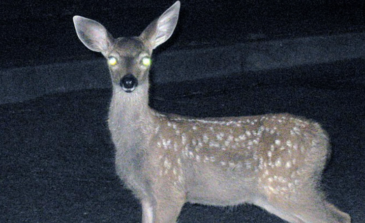 Lawrence Lepard, "fix the money, fix the world" tweet media