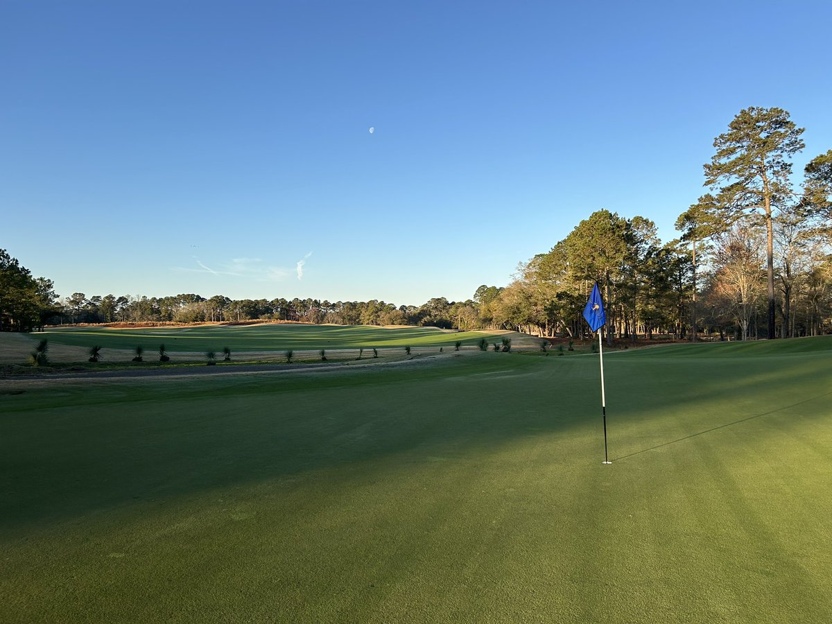 TrueBlueGolf's tweet image. March ⛳️ is 🔥 @MyrtleBeachGolf @MyMyrtleBeach @HammockCoastSC @MBTrips @Discover_SC #myrtlebeachgolflive #mikestrantzdesign #pawleysisland #golfweektop100 #hammockcoastgolftrail