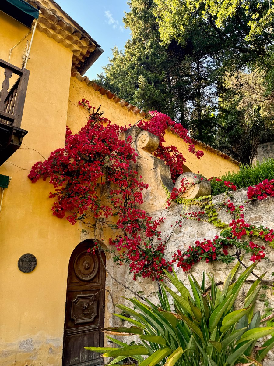 Côte d'Azur France tweet media