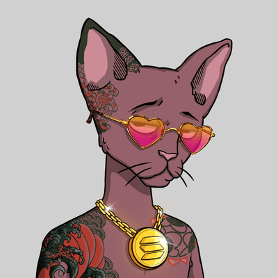 Never owned Cet, but the moment I saw this one on zee floor, all I could say to myself is feekk it he is mine <a href="/cetsfk/">Cets</a>  🥁