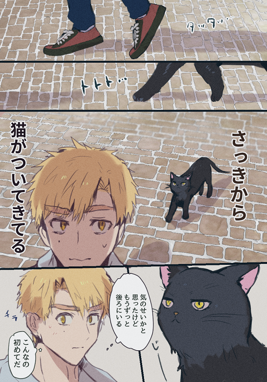 よだつか
※擬獣化ネタです 