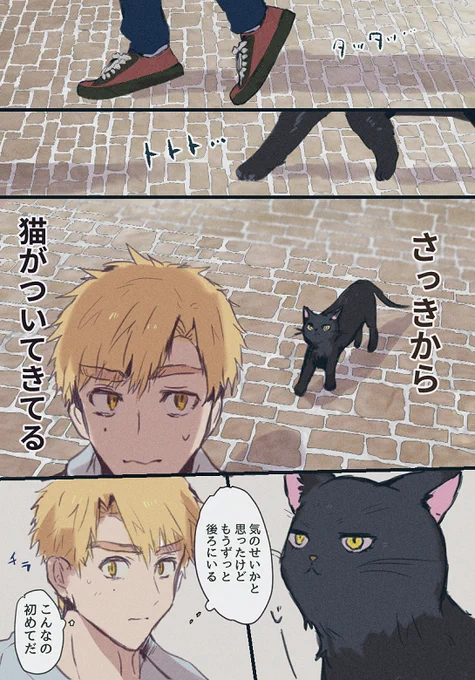 よだつか
※擬獣化ネタです 