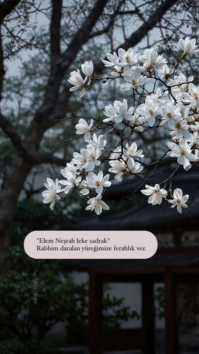 Mavera (@acz_mavera) on Twitter photo 