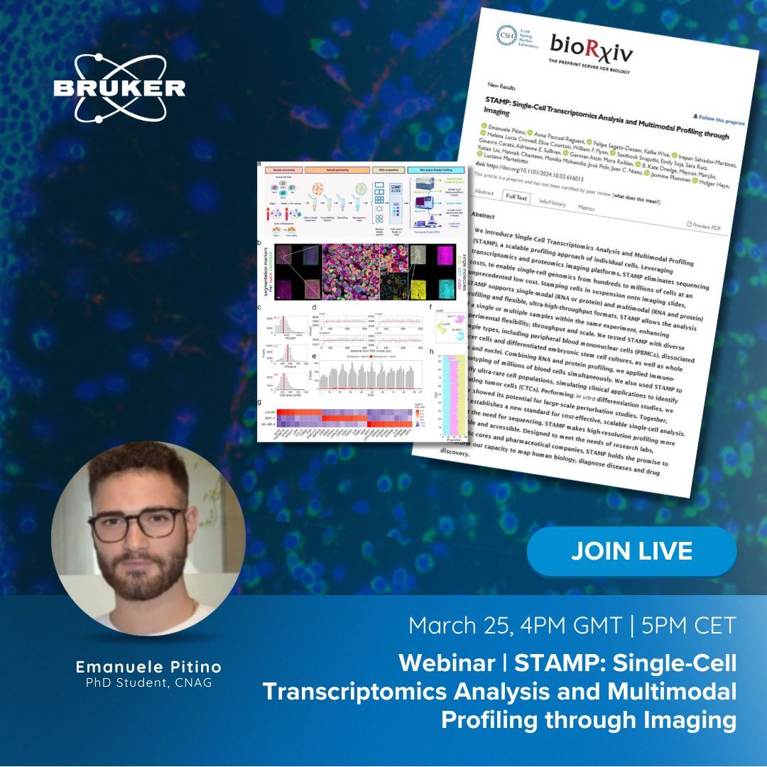 CNAG (@cnag_eu) on Twitter photo 🗓️Save the date: March 25, 5 PM – new webinar on Single-Cell!
🗣️Speaker: Our PhD student, <a href="/EmanuelePitino1/">Emanuele Pitino</a>
➡️'STAMP: Single-Cell Transcriptomics Analysis and Multimodal Profiling through Imaging, with the participation of Dr. Anna Pascual from #CNAG
go.brukerspatialbiology.com/CosMx-STAMP-we… 🗓️Save the date: March 25, 5 PM – new webinar on Single-Cell!
🗣️Speaker: Our PhD student, <a href="/EmanuelePitino1/">Emanuele Pitino</a>
➡️'STAMP: Single-Cell Transcriptomics Analysis and Multimodal Profiling through Imaging, with the participation of Dr. Anna Pascual from #CNAG
go.brukerspatialbiology.com/CosMx-STAMP-we…