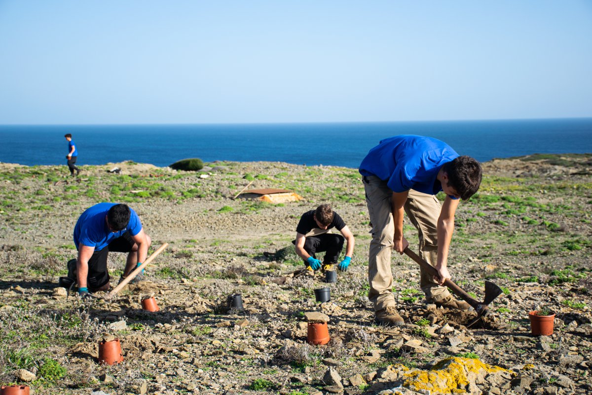 Aprovada la convocatòria d'ajuts per a accions de voluntariat a la Reserva de Biosfera de Menorca per al 2025 🌱

Es destina 75.000 € per fomentar el voluntariat ambiental i la conservació del patrimoni natural i cultural de Menorca. 

Segueix llegint: cime.es/Contingut.aspx…