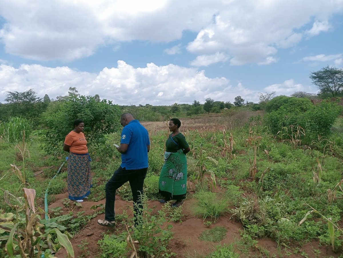 KoanKenya's tweet photo. 📍 PGS Assessment Update!
Our team led by Benard Maina assessed the Mukameni Organic Farmers Cluster SHG in Ndalani Ward, Machakos County for organic certification to strengthen their organic credibility. They specialize in cereals, pulses, indigenous livestock &amp; bee keeping. https://t.co/DcGPBRxUKc