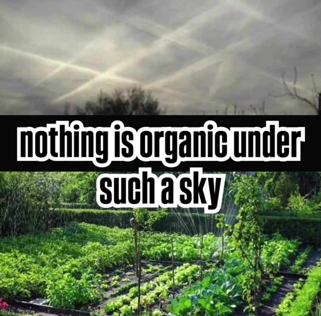 Make Skies Blue Again!