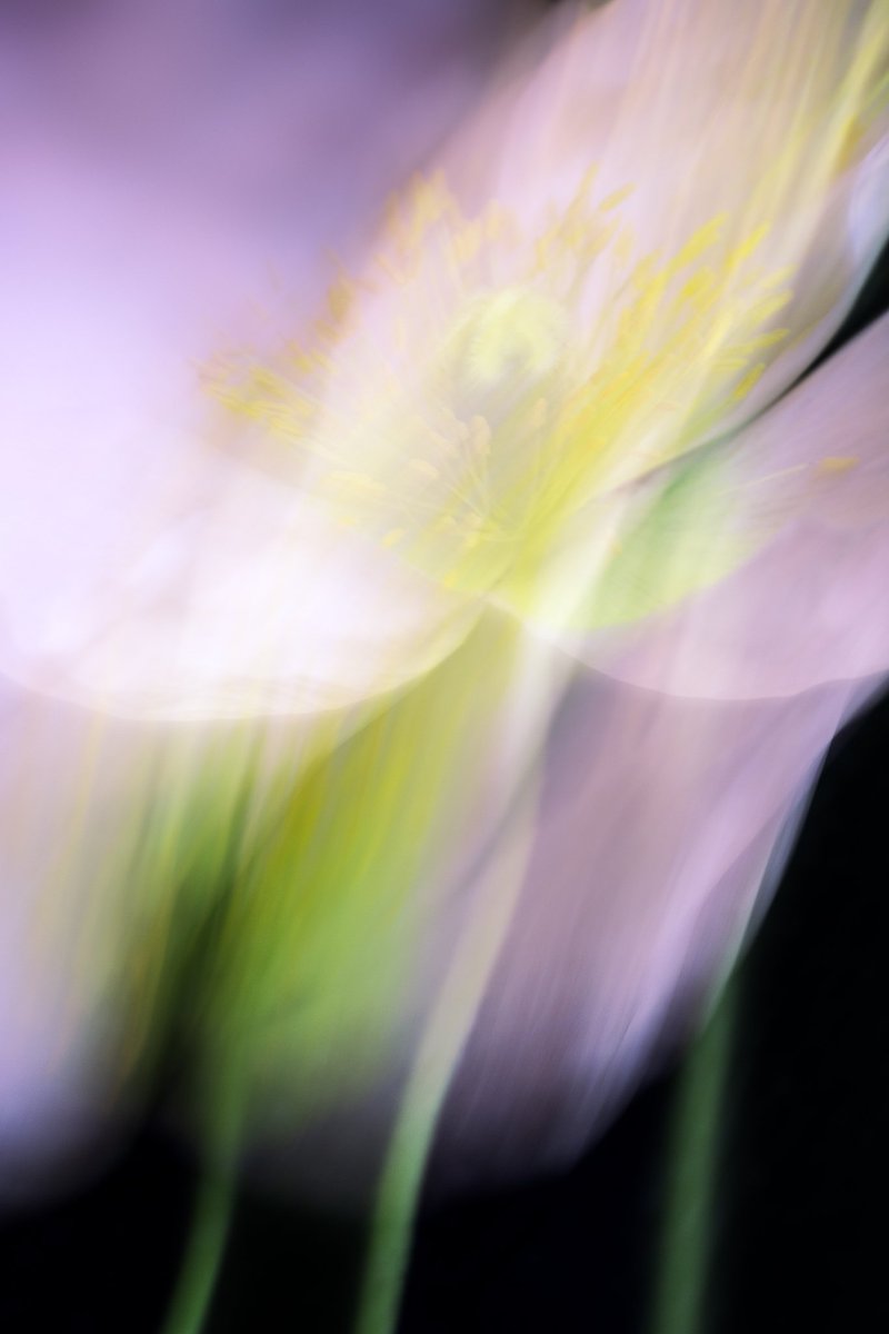 Grant Shannon (@chaostheorist86) on Twitter photo Good morning 🌄. It's Wednesday, one of the seven art days of the week.
"Blurred Vision" by <a href="/Reneejcampbell/">RenéeCampbell 🎩 .eth/.tez</a> Good morning 🌄. It's Wednesday, one of the seven art days of the week.
"Blurred Vision" by <a href="/Reneejcampbell/">RenéeCampbell 🎩 .eth/.tez</a>