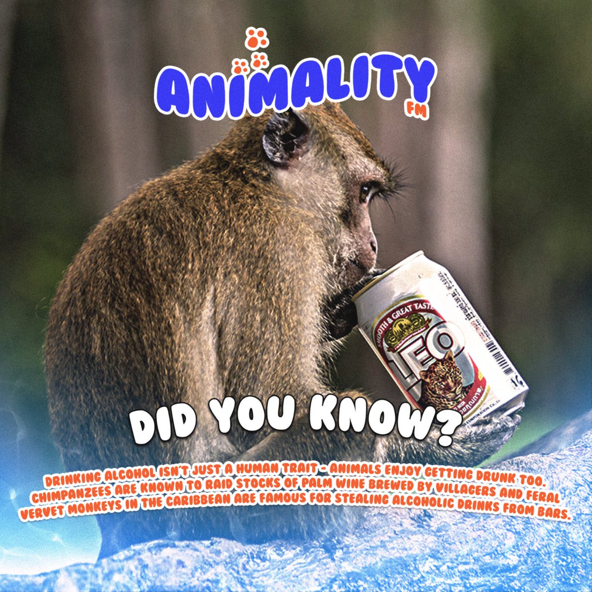 Did You Know ? 👀 #animalityfm