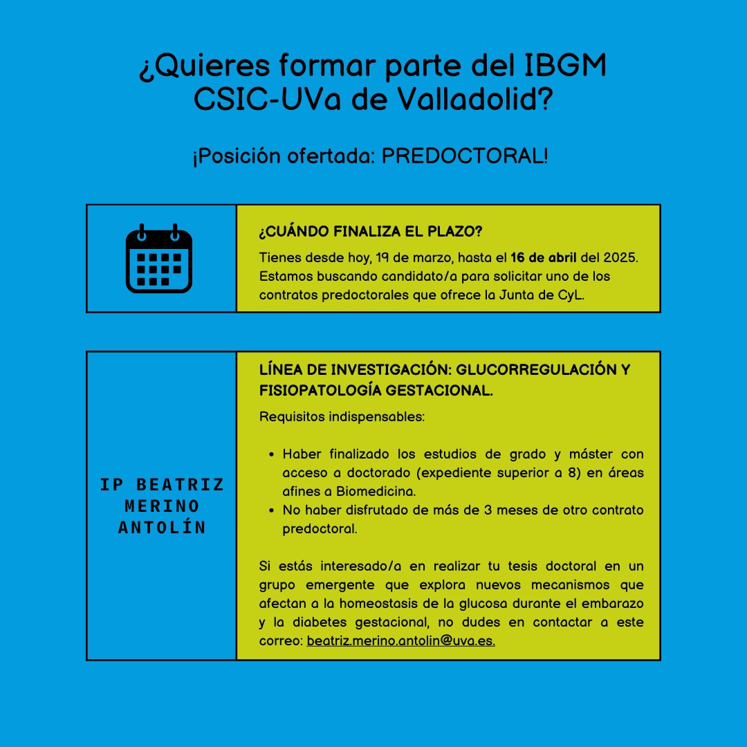 🚨📢¡Hola! Estamos buscando un candidato/a para solicitar uno de los contratos predoctorales que ofrece la Junta de Castilla y León en la presente convocatoria, concretamente en la línea de investigación glucorregulación y fisiopatología gestacional.