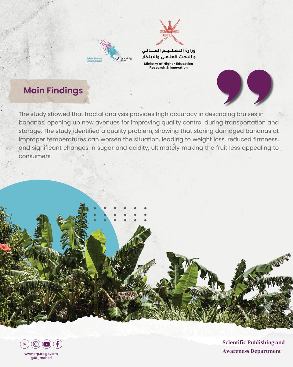 البحث العلمي والابتكار - سلطنة عمان (@ri_moheri) on Twitter photo 🟡Research Project Title
Banana Fruit Bruise Detection Using Fractal Dimension Based Image Processing
🟡Winner of the National Research Award 2024 in the Information and Communication Technologies field in the Young Researcher’s category
<a href="/OmanObserver/">Oman Observer 🇴🇲</a>
omanobserver.om/article/116786… 🟡Research Project Title
Banana Fruit Bruise Detection Using Fractal Dimension Based Image Processing
🟡Winner of the National Research Award 2024 in the Information and Communication Technologies field in the Young Researcher’s category
<a href="/OmanObserver/">Oman Observer 🇴🇲</a>
omanobserver.om/article/116786…