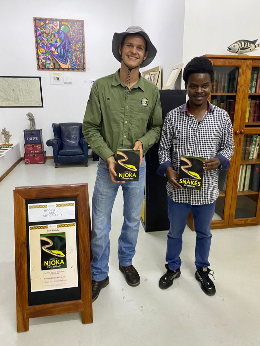 Logos Open Culture tweet media