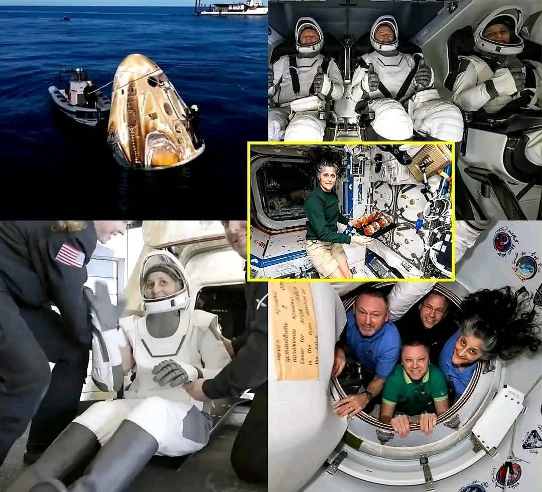 Gulzar__sahab's tweet image. ज़िंदगी से ये कह दो कि वो स्वागत करे मेरा,,
हूँ मैं बहादुर लड़की, मौत से लड़ कर आई हूँ..