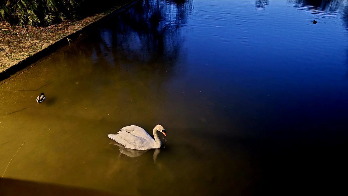 Victoria Hills tweet media