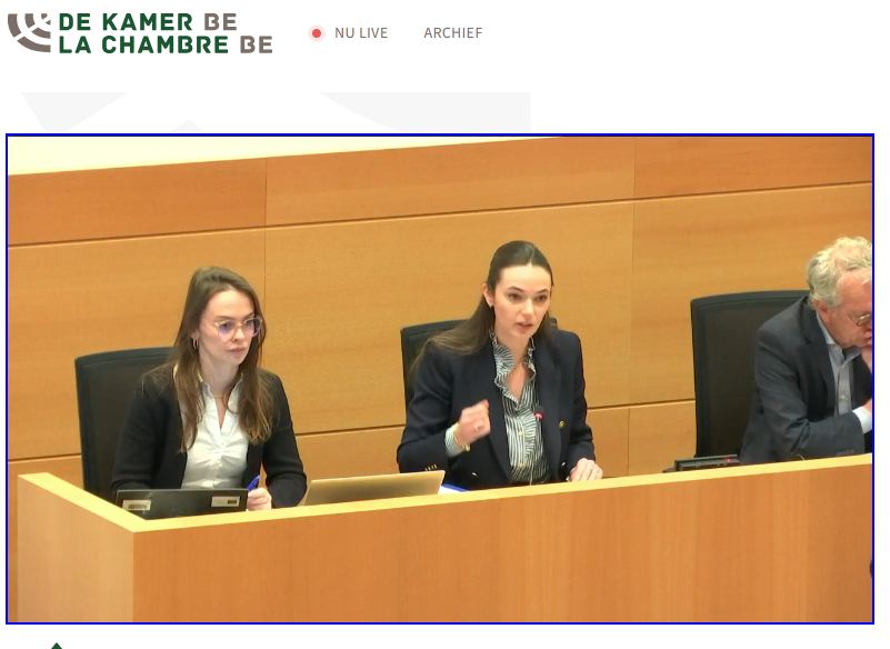 DeKamerBE's tweet photo. Beleidsverklaringen over #Middenstand &amp; #KMO’s
> https://t.co/Ky5C9QwZ5K
> https://t.co/8pLS8443wt
voorgesteld door minister @elesimonet in comm #Economie > Live: https://t.co/kBb3pdQ2eD https://t.co/SPXMK74g96