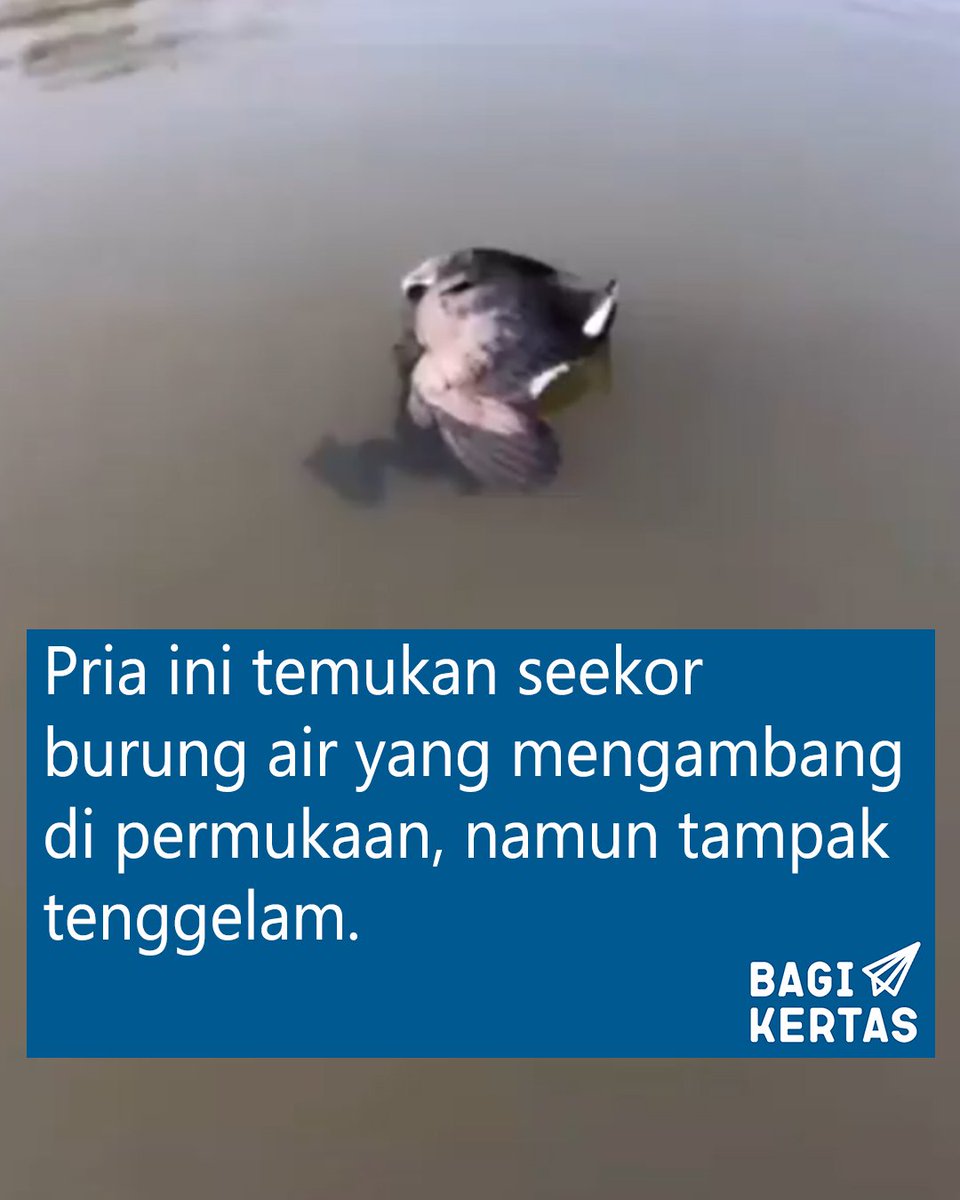 Bagi Kertas tweet media