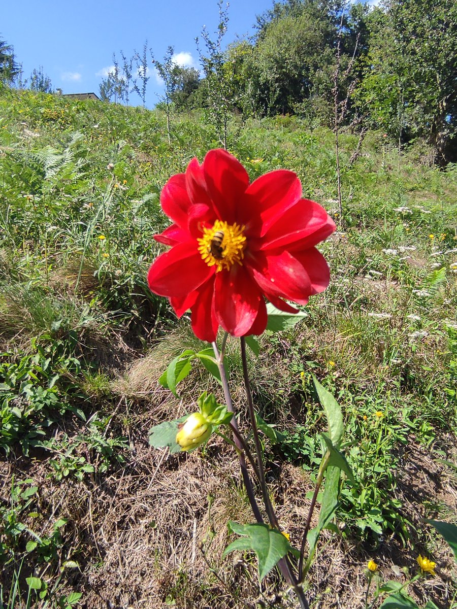 Feliz Día del Padre 🌹🌹
Siempre.., en la Tierra o desde el Cielo, están con nosotr@s
Besiños y abracitos ❤️😘😘