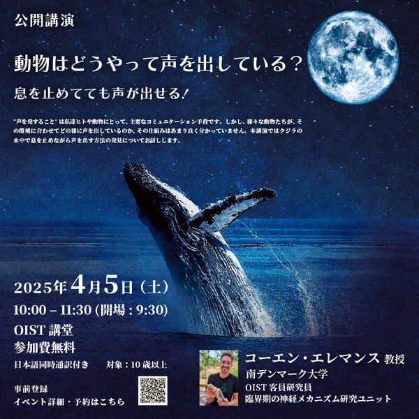 📢OIST 一般公開講演 開催！🐋
動物の声の使い方は多岐にわたりますが、その仕組みの多くは謎。 クジラは息を止めたまま水中で声を出すことができると言われますが、どうしてそれが可能なのでしょうか？その謎に迫ります！

4/5 (土) AM10:00～ 
OIST講堂
無料参加登録👉ow.ly/fJ4r50VkmBw