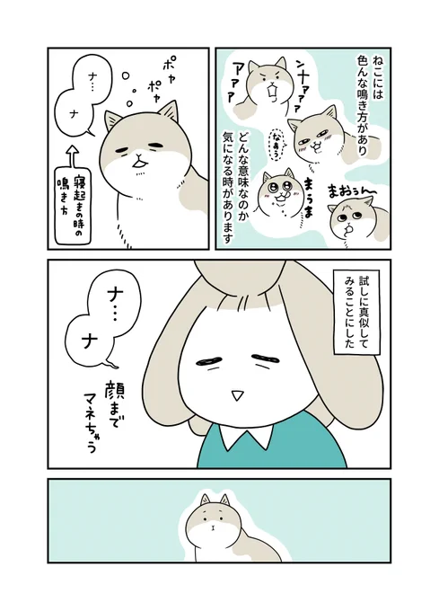 ねこ語もマスターしていきたいってわけよ

(1/2) 