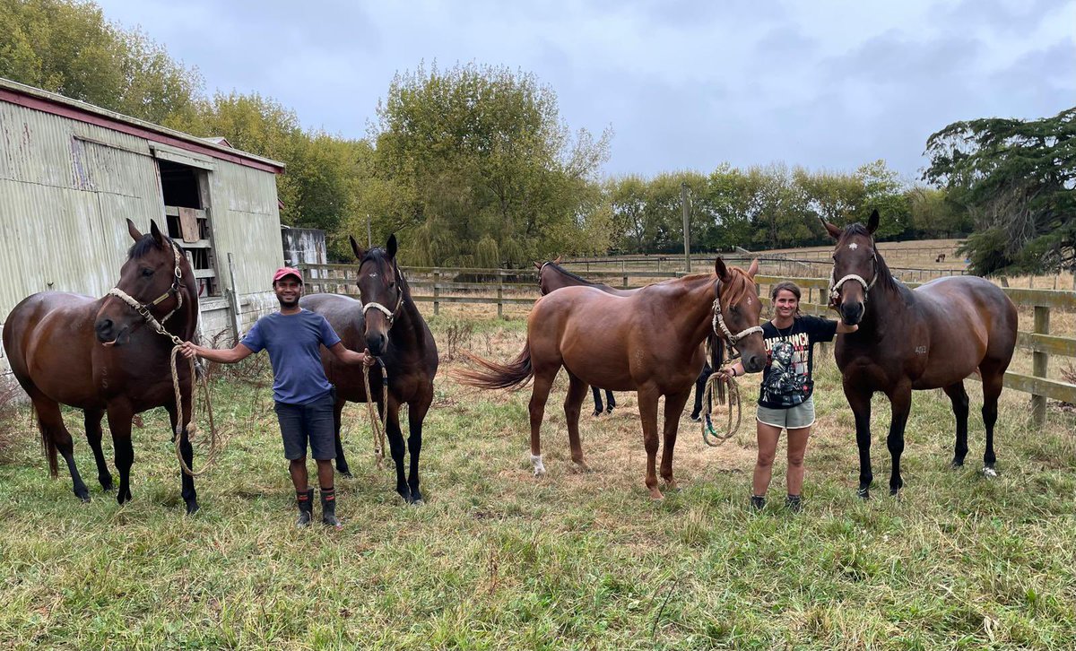 Mark Baker (@hallmarkstud) on Twitter photo Been a privilege & a pleasure to agist these mares for <a href="/CoolmoreAus/">Coolmore Australia</a> post quarantine. Pictured with Zipporah & Dharmvir are multiple Group 1 winners:
She's Extreme, Booker, Shout the Bar and Nakeeta Jane about to head back to the Hunter Valley. We wish them all the best! π€ Been a privilege & a pleasure to agist these mares for <a href="/CoolmoreAus/">Coolmore Australia</a> post quarantine. Pictured with Zipporah & Dharmvir are multiple Group 1 winners:
She's Extreme, Booker, Shout the Bar and Nakeeta Jane about to head back to the Hunter Valley. We wish them all the best! π€