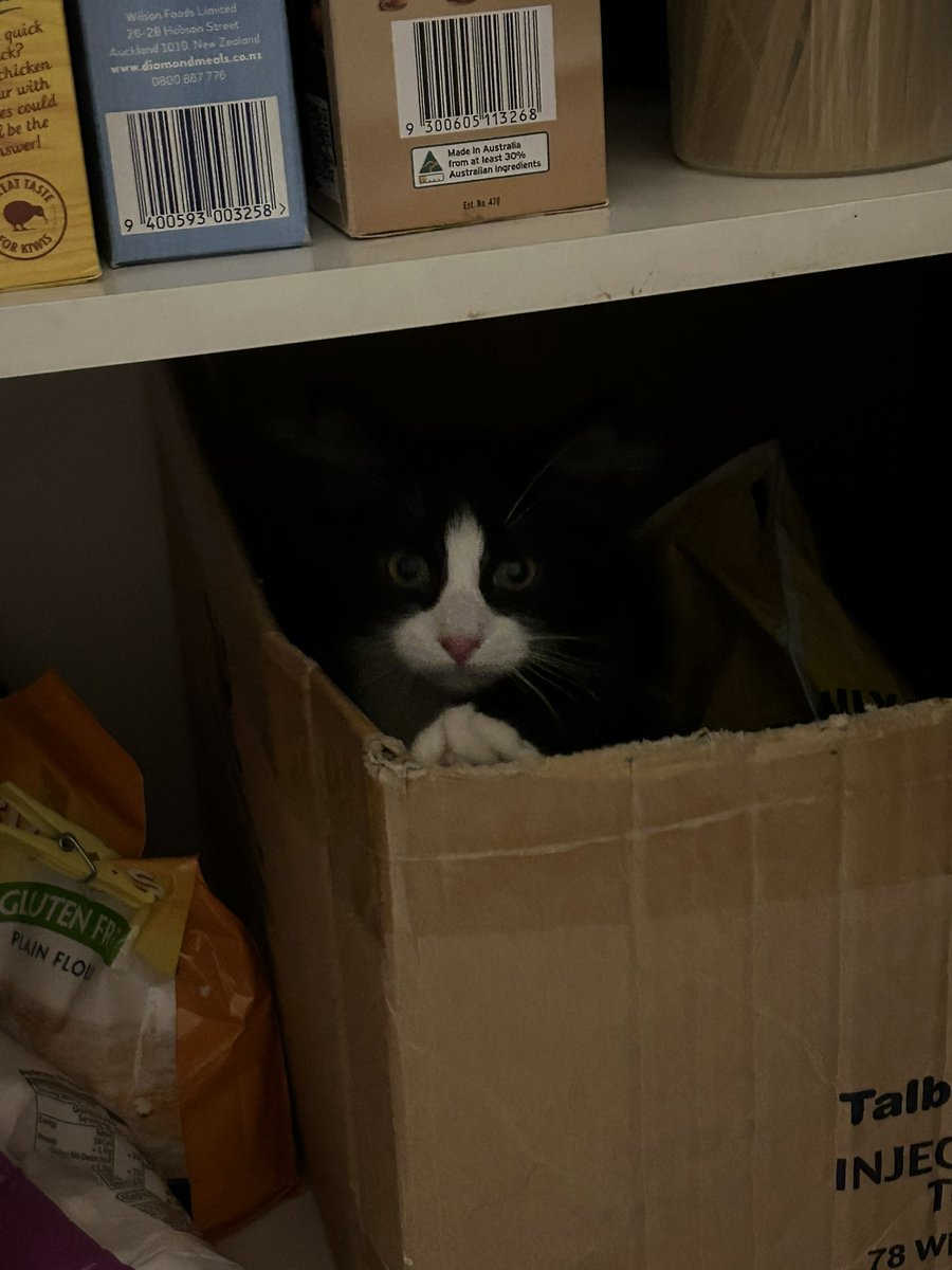 uhhh why is there a floating ween in my cupboard