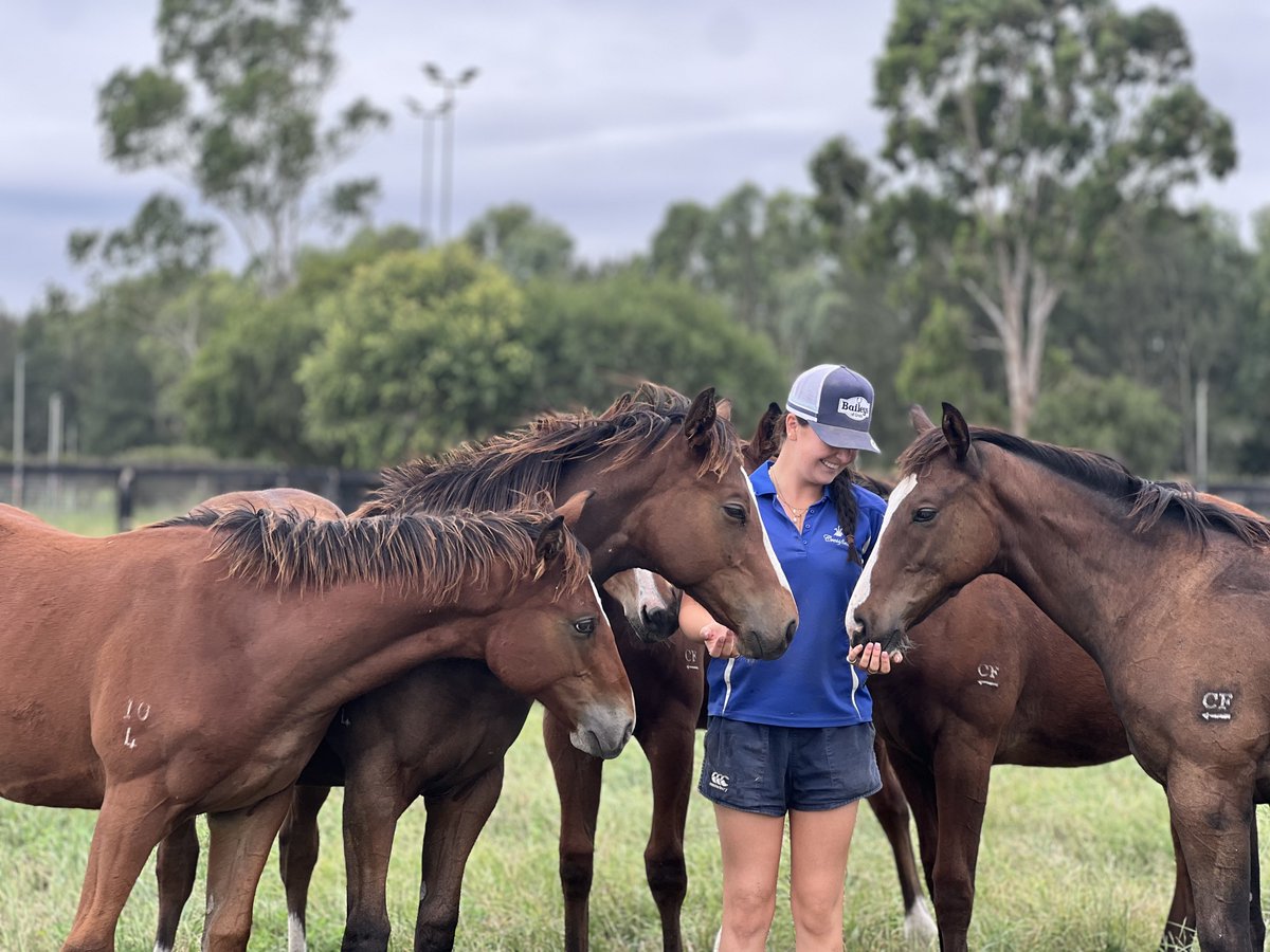 horsejobsaus's tweet image. When you are the centre of everyone’s attention 🥰
#workperks