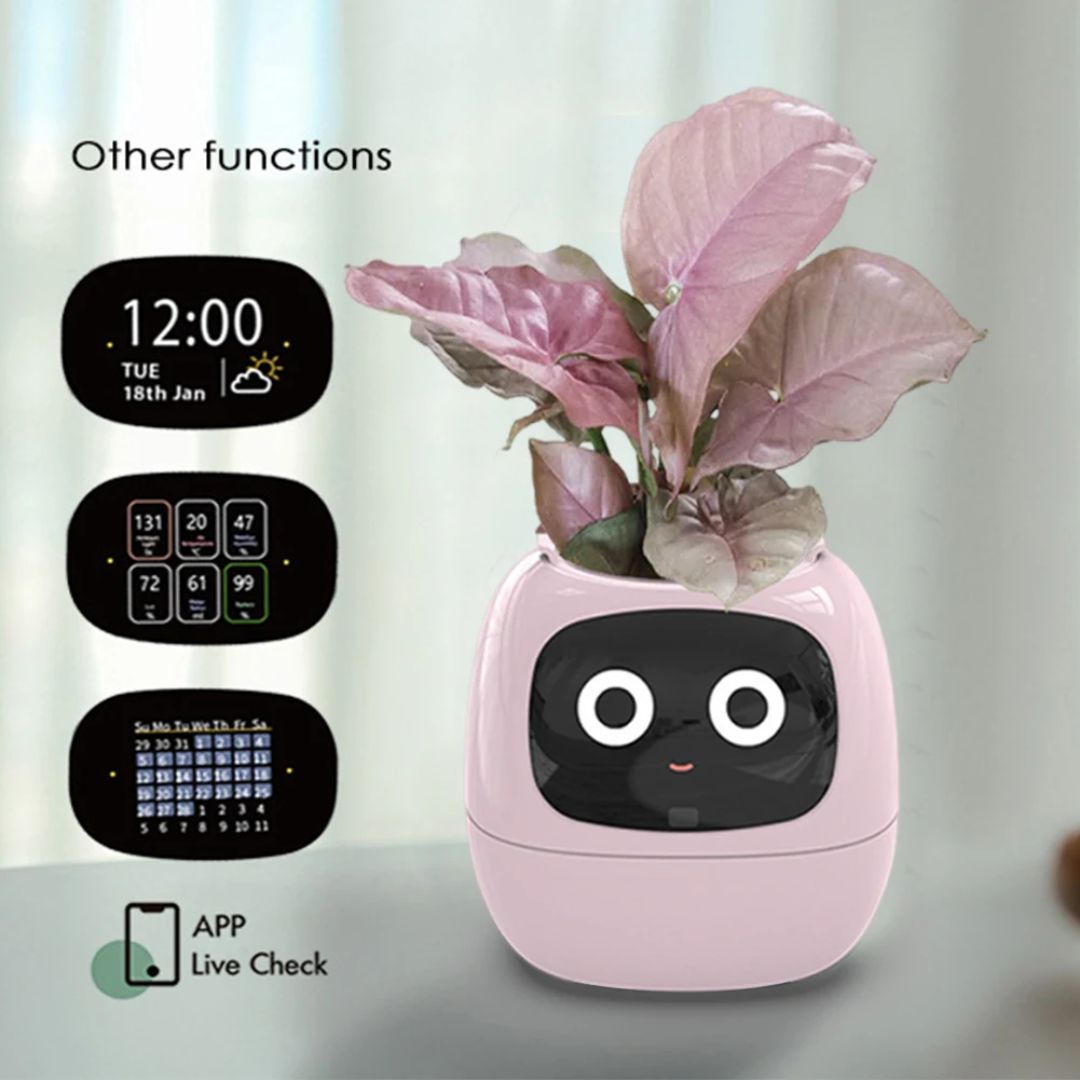 cockerill59963's tweet image. Smart Flower Pot – The Future of Plant Care! 🌱🤖 Keep your plants healthy with real-time monitoring of moisture, light &amp;amp; temperature. Stay connected via the mobile app! 🌿✨ Get yours now! 🔗 chinarobots.com/product/smart-… #SmartPlanter #IndoorGardening #TechForPlants