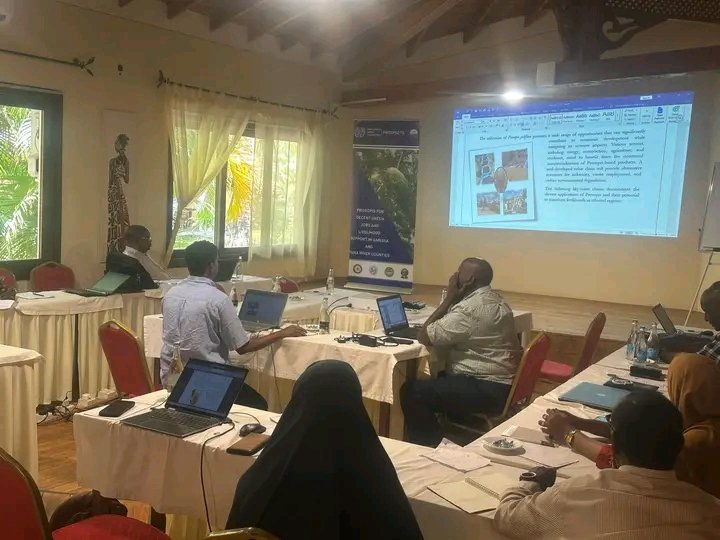 Kenya Forestry Research Institute (KEFRI) tweet media