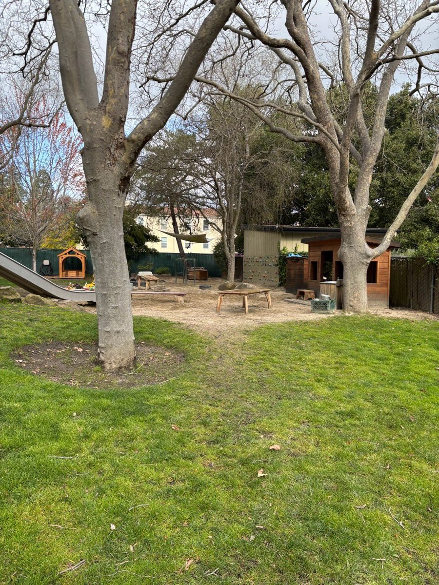 1日目はワーク終了後、スタンフォード附属のBING Nursery Schoolに行きました！

中も見学させていただいて、まずその広さに驚き！！

子どもたちの興味を引き出し、その興味をとことん突き詰めてあげる施設の設計上の工夫が圧巻だった。

先生方も熱心で親切な方だった。

こんな幼稚園増やしたい！