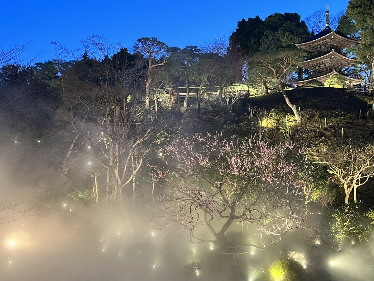 koian2023's tweet photo. 🇯🇵#Tokyo #seaofclouds #unkai #雲海 #東京雲海 #chinzanso #椿山荘 #ホテル椿山荘東京 https://t.co/zSdj4iwl9M
