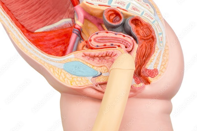 Mr Health💊💉 tweet media