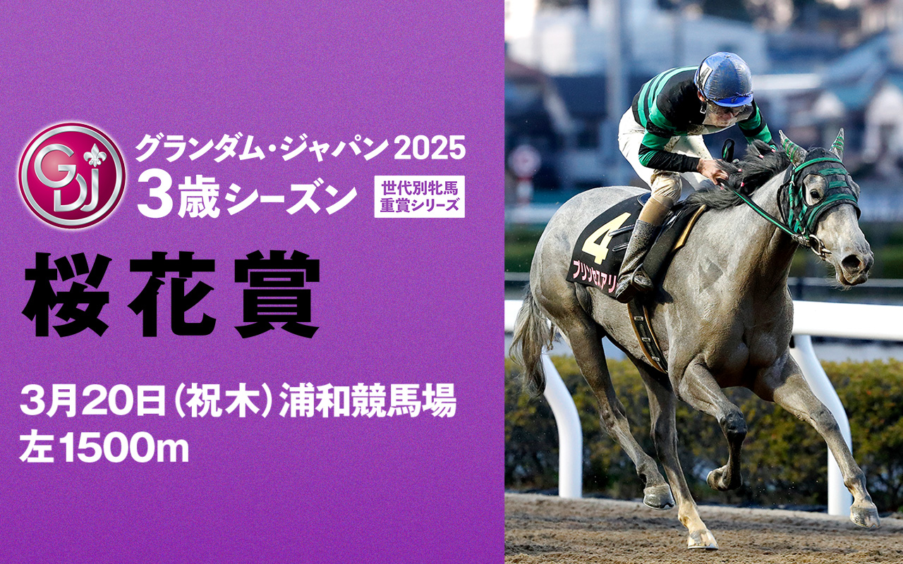 JRA　競馬　馬写真（額入り）冬花 JRA競馬馬写真（額入り）冬花