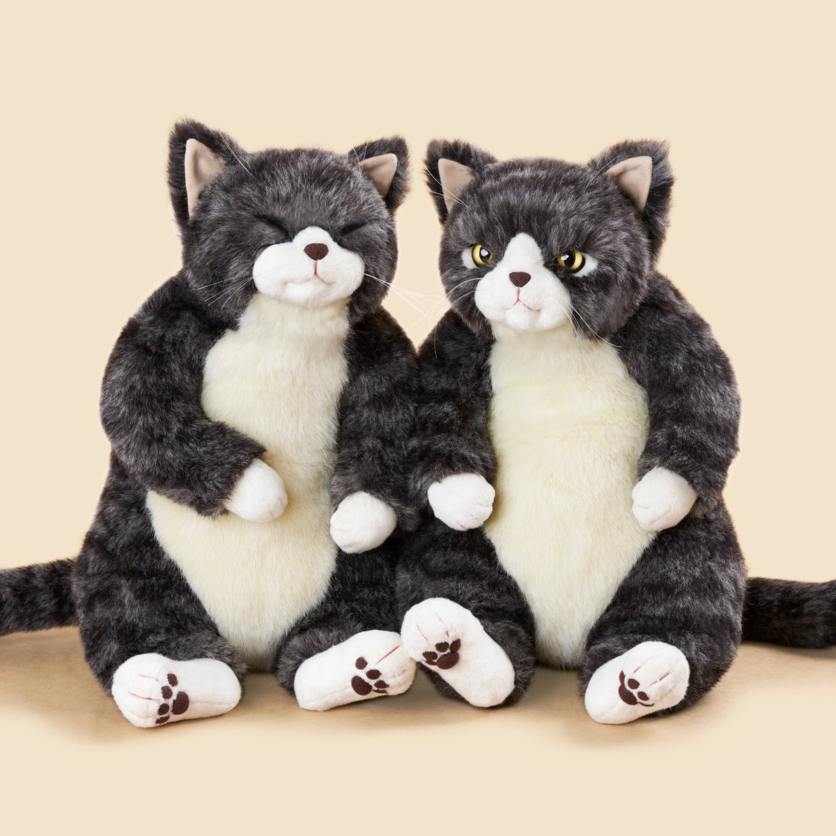 ココです❗️Cudolly カドリー　販売終了品　希少　入手困難❣️ Cuddly（カドリー） (@CuddlyOfficial) / X
