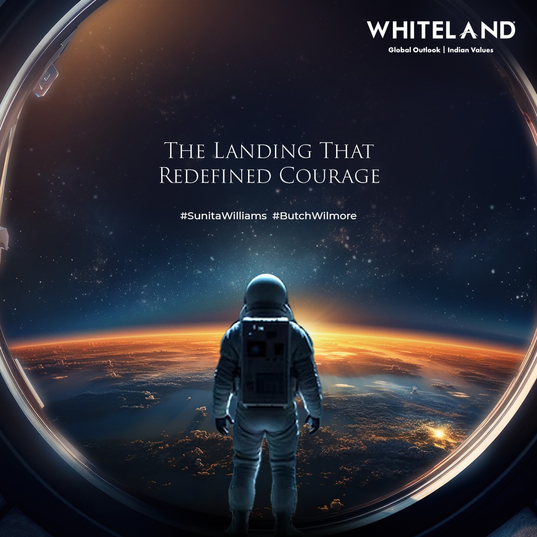 Whiteland Corporation tweet media