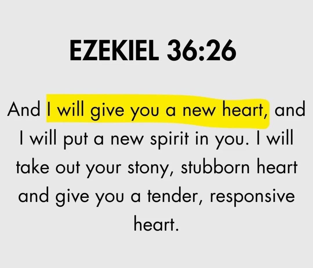 Holy__Bible1's tweet image. EZEKIEL 36:26