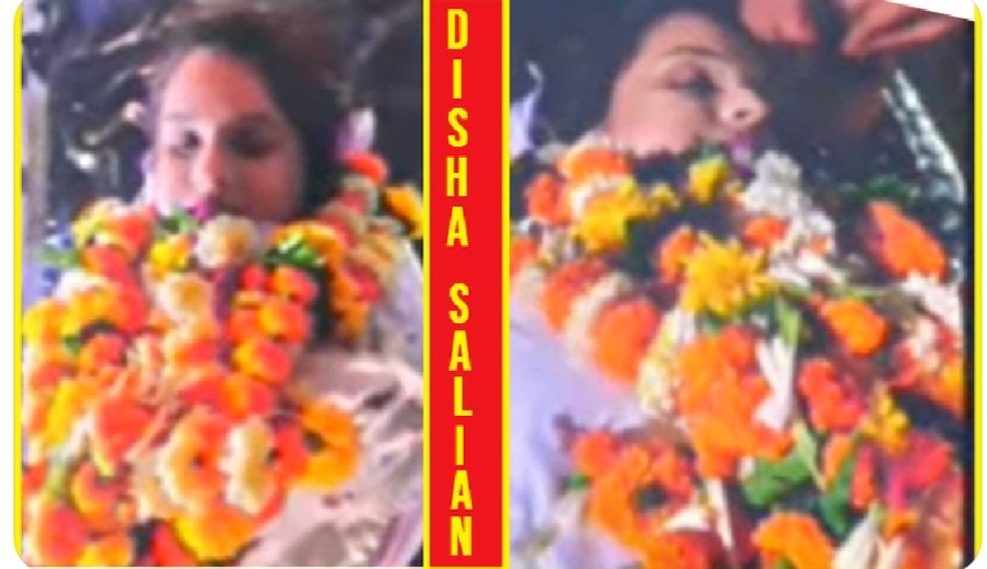 .⋆♫•🦋݁݁•𝐘④𝐒𝐒𝐑❣️⚘️•♫⋆. tweet media