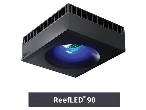 aquatailors344's tweet image. Redsea ReefLED90が在庫限り65000円にて販売しています！！
通販サイトでも同金額にてアップしておりますので、ご検討中のお客様はお早めに♪
#aquatailors
#redsea
#reefled