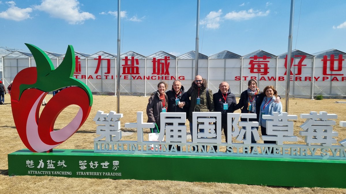 BreedingValue's tweet image. Big smiles from the 10th International Strawberry Symposium, in Yancheng (China), where BreedingValue partners could present the work achieved during these last 4 years of research on genetic resources and prebreeding materials for #berries.